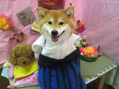 ファイル 5497-1.jpg