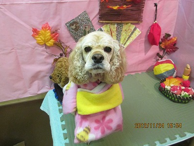 ファイル 5498-1.jpg