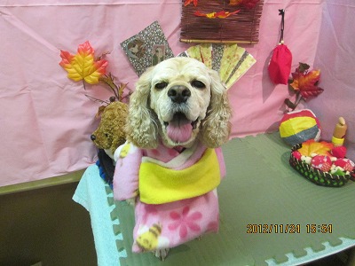 ファイル 5498-2.jpg