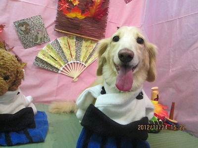 ファイル 5499-1.jpg