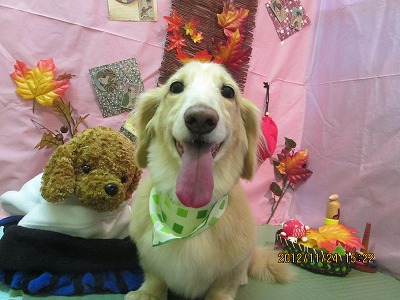 ファイル 5499-2.jpg