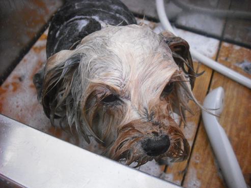 ファイル 55-2.jpg