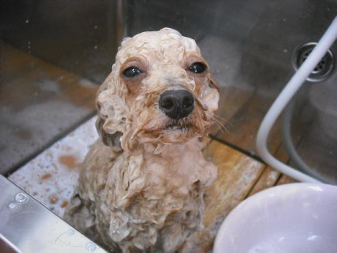 ファイル 550-2.jpg