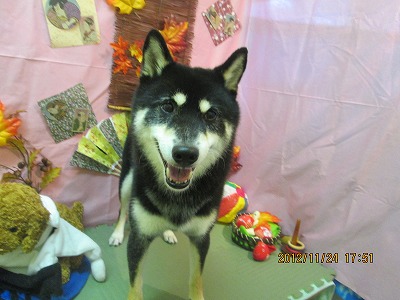 ファイル 5500-1.jpg