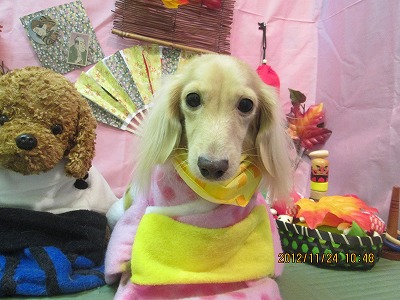 ファイル 5501-1.jpg