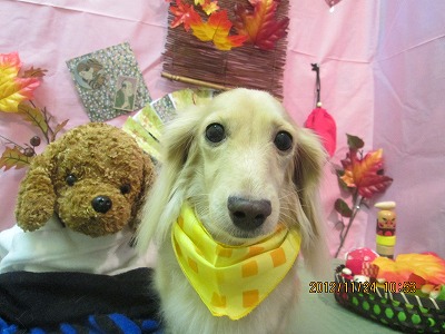 ファイル 5501-2.jpg