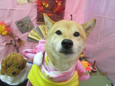 ファイル 5502-1.jpg