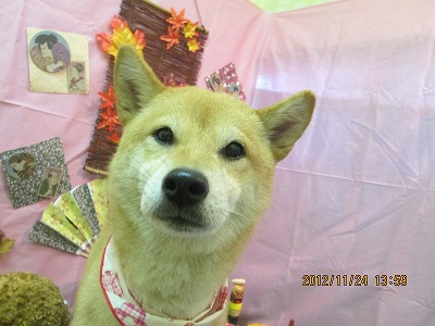 ファイル 5502-2.jpg