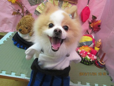 ファイル 5503-1.jpg