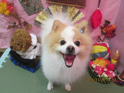 ファイル 5503-2.jpg