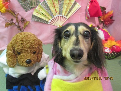 ファイル 5504-1.jpg