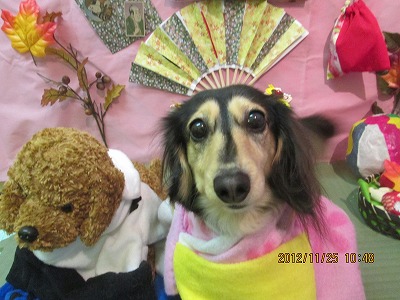 ファイル 5504-2.jpg