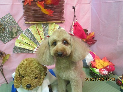 ファイル 5505-2.jpg