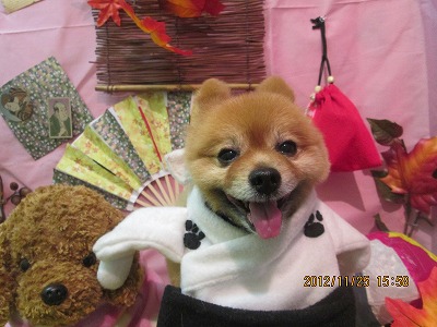 ファイル 5506-1.jpg