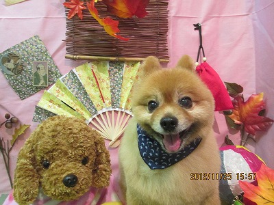 ファイル 5506-2.jpg