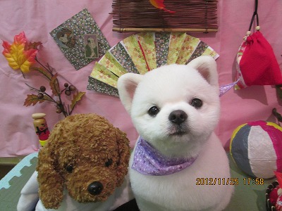 ファイル 5507-2.jpg