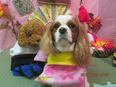 ファイル 5508-1.jpg