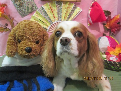 ファイル 5508-2.jpg