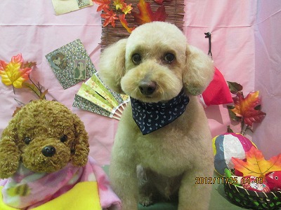 ファイル 5509-2.jpg