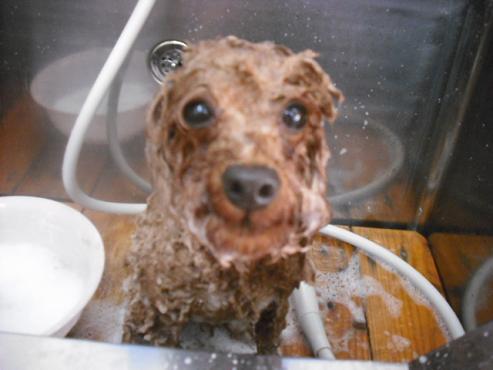 ファイル 551-2.jpg