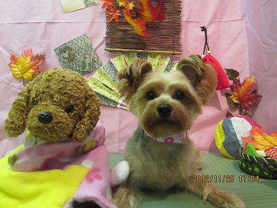 ファイル 5510-1.jpg