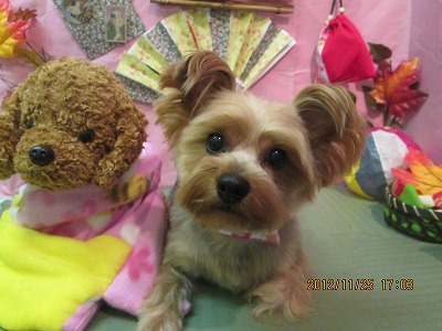 ファイル 5510-2.jpg