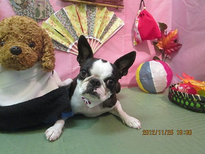 ファイル 5511-2.jpg