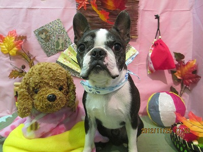 ファイル 5512-2.jpg