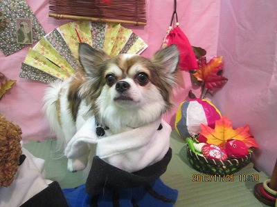 ファイル 5513-1.jpg