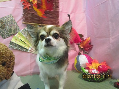 ファイル 5513-2.jpg