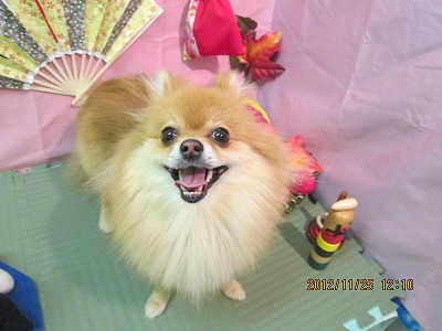 ファイル 5514-2.jpg