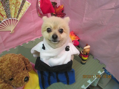 ファイル 5515-1.jpg