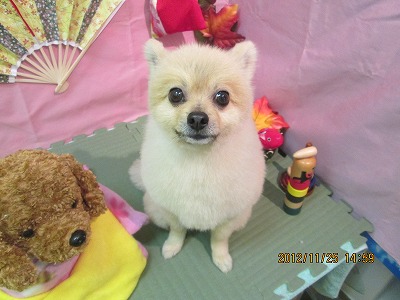 ファイル 5515-2.jpg