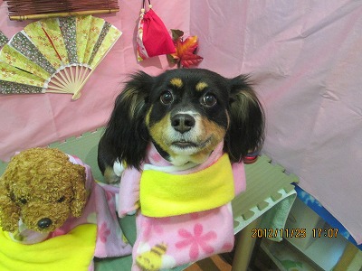 ファイル 5516-1.jpg