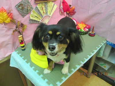 ファイル 5516-2.jpg