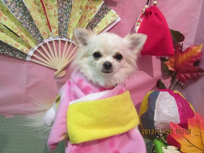 ファイル 5517-1.jpg