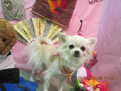 ファイル 5517-2.jpg