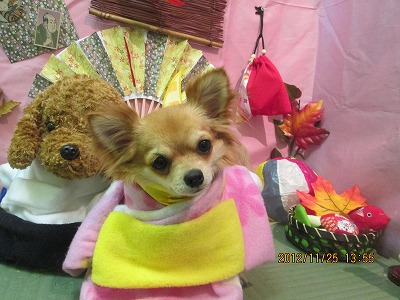 ファイル 5518-1.jpg