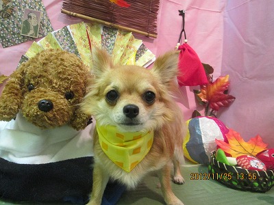 ファイル 5518-2.jpg