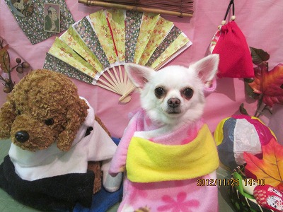 ファイル 5519-1.jpg