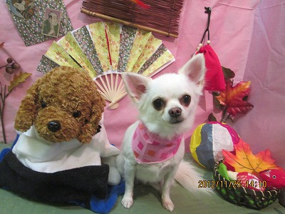 ファイル 5519-2.jpg