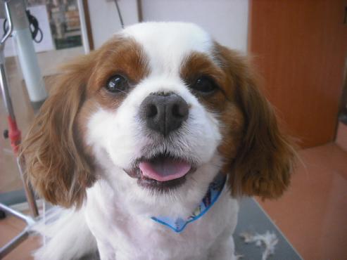 ファイル 552-1.jpg