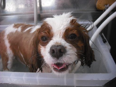 ファイル 552-2.jpg