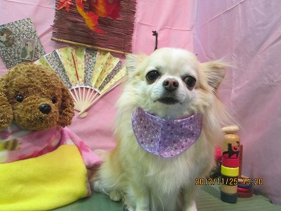 ファイル 5520-2.jpg