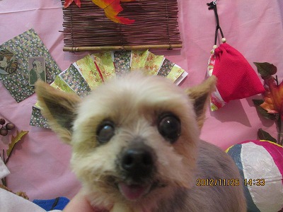 ファイル 5521-1.jpg