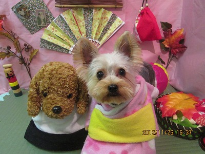 ファイル 5522-1.jpg