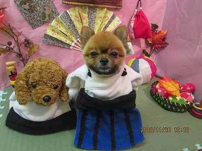 ファイル 5524-1.jpg