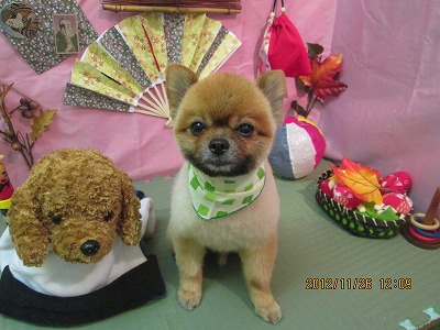 ファイル 5524-2.jpg