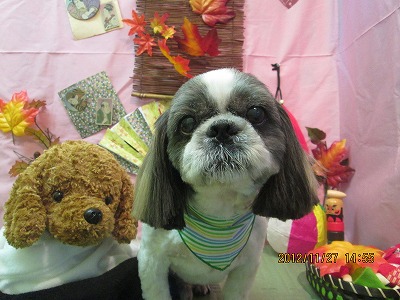 ファイル 5525-2.jpg