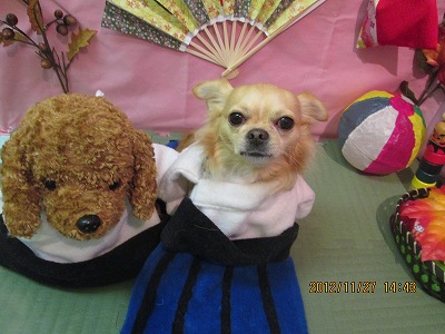 ファイル 5527-1.jpg